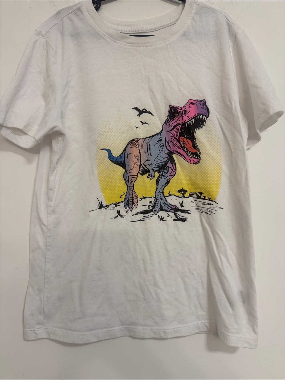 Cat & Jack White Tee with Colorful T‑Rex Graphic